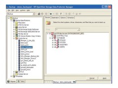E-Lizenz / HP DP Single Server Editn Win