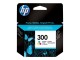 HP INC HP Ink Cart 300/Tricol w Viv