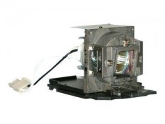 InFocus - Projektorlampe - 2500 Stunde(n