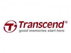 Transcend - DDR - 256 MB - DIMM 100-PIN 