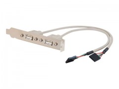 Kabel / USB INTERNAL AT Mboard Adptr 2PT